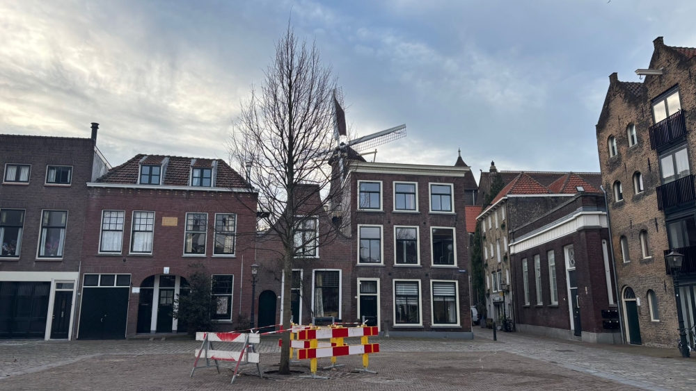 Anderhalf jaar na stormschade is de omgewaaide boom op de Vismarkt vervangen