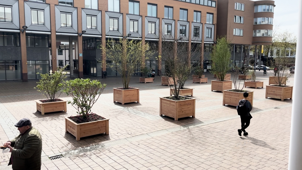 Bomen vergroenen Schiedams Stadserf, maar er is kritiek op bakken