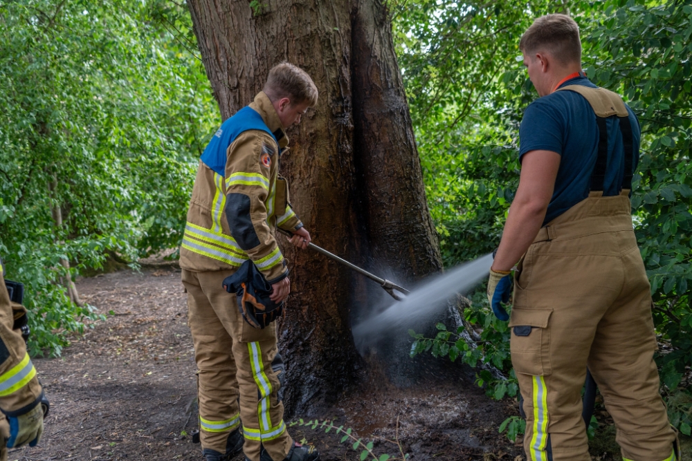 Melding bermbrand blijkt brandende boom in Vlaardingen