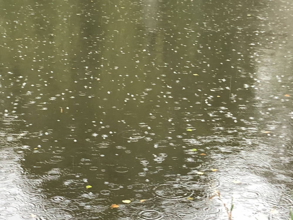 Regenjas en paraplu geen overbodige luxe tijdens Brandersfeesten