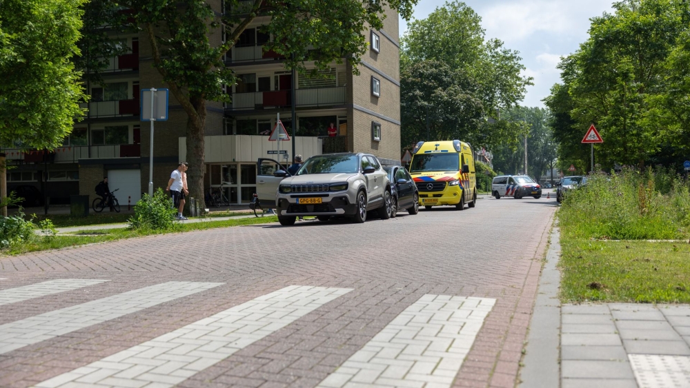Ganzen houden zich aan verkeersregels, maar veroorzaken toch aanrijding